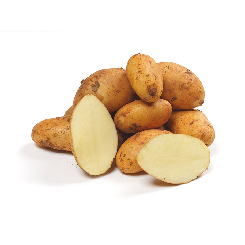 Frühkartoffel-Spunta-AD-