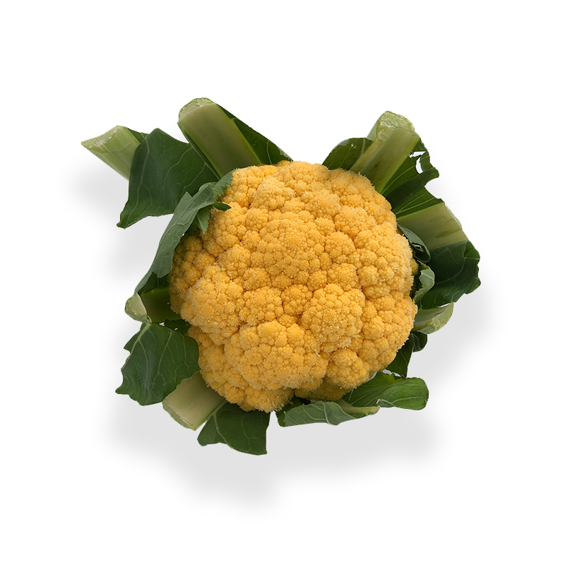 Blumenkohl-Orange bei R-express Gastronomie Lebensmittel Grosshandel online kaufen