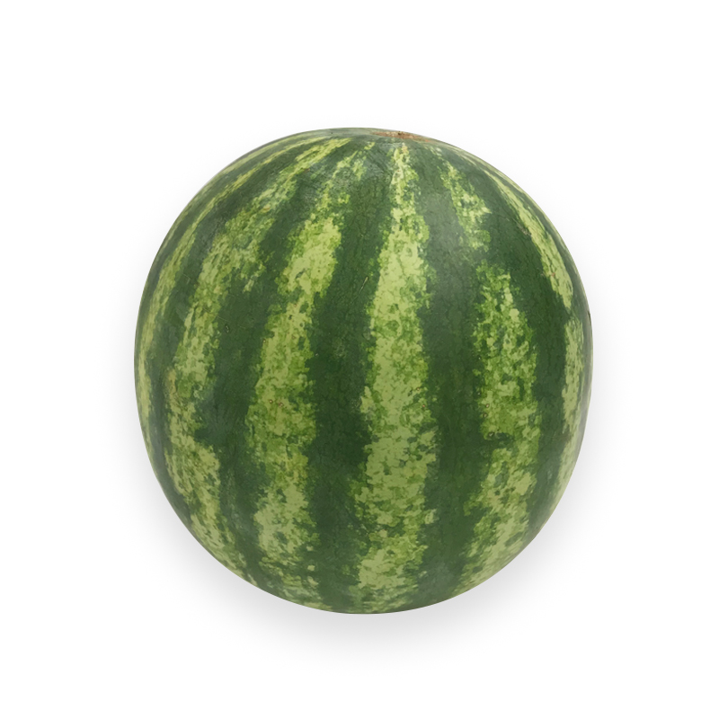 Wassermelone bei R-express Gastronomie Lebensmittel Grosshandel online kaufen