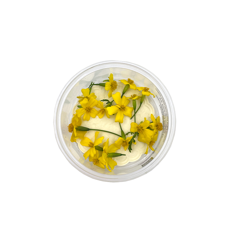 Zitronentagetesbluten-gelb bei R-express Gastronomie Lebensmittel Grosshandel online kaufen