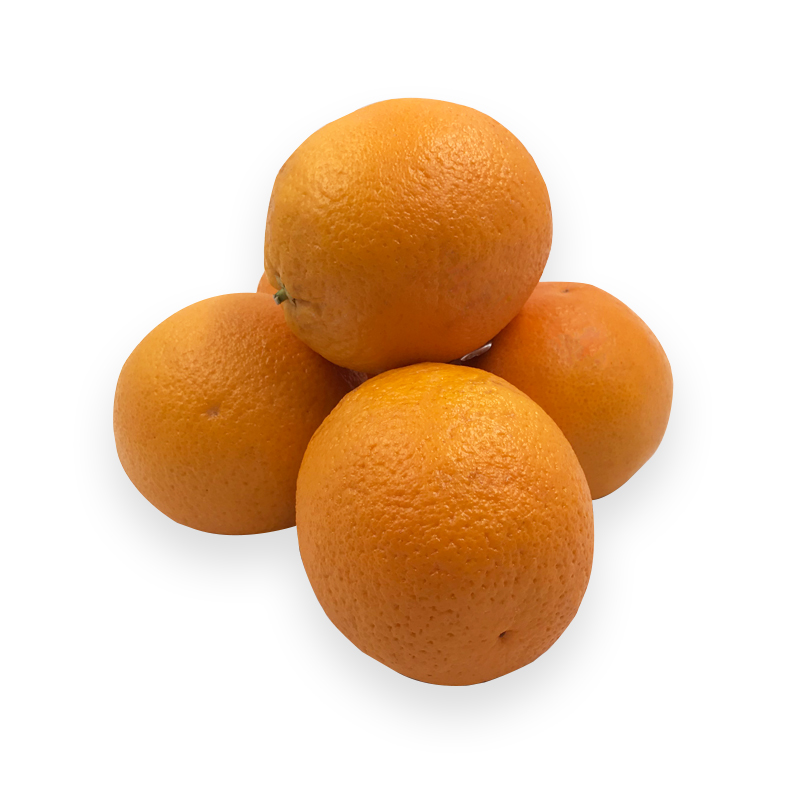 Orangen bei R-express Gastronomie Lebensmittel Grosshandel online kaufen