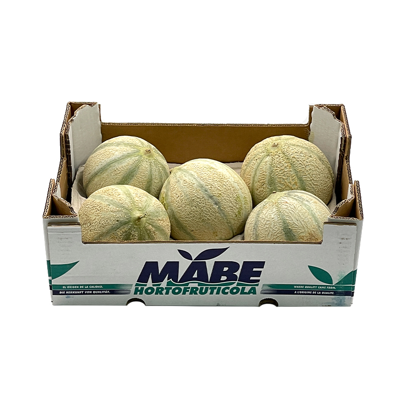 Cantaloup-Melone-2 bei R-express Gastronomie Lebensmittel Grosshandel online kaufen