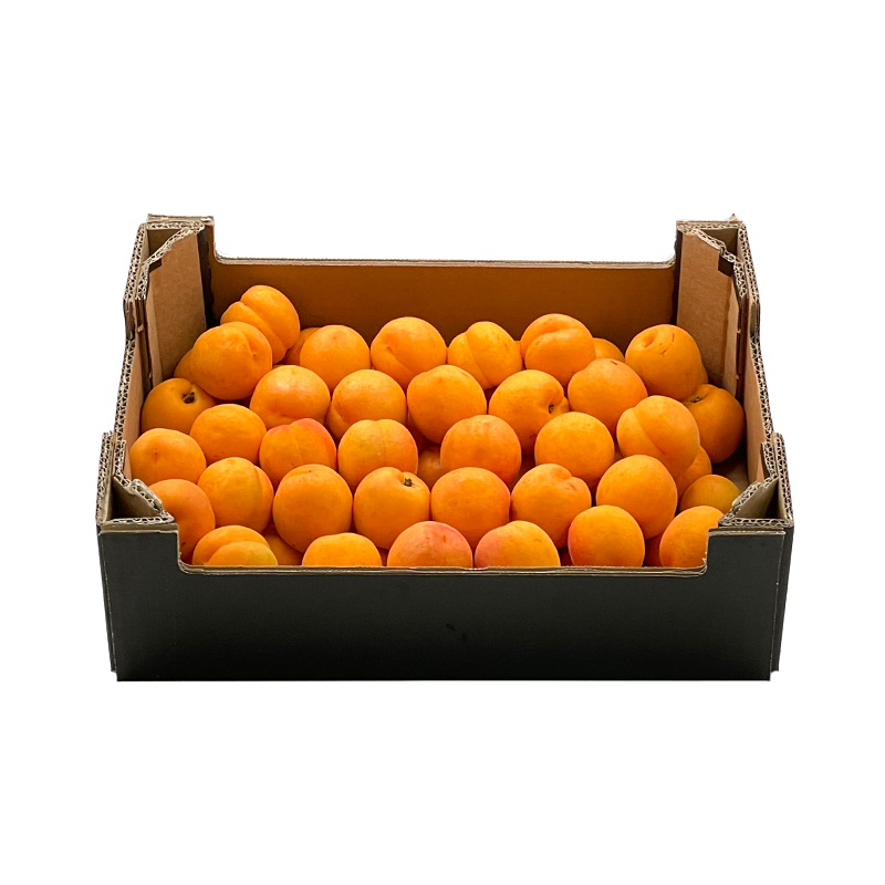Aprikosen-2 bei R-express Gastronomie Lebensmittel Grosshandel online kaufen