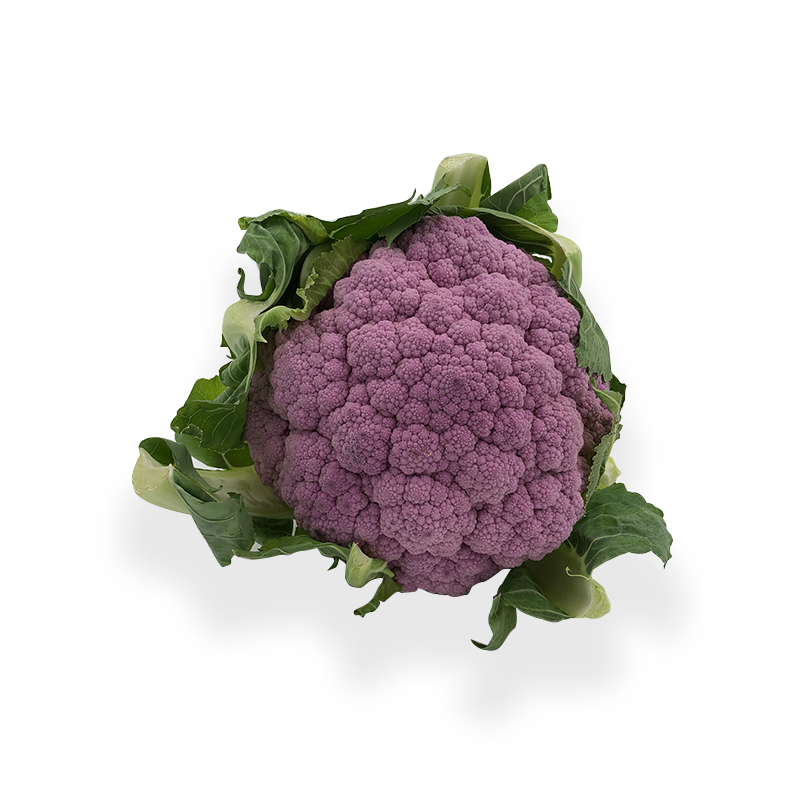 Blumenkohl-violett bei R-express Gastronomie Lebensmittel Grosshandel online kaufen
