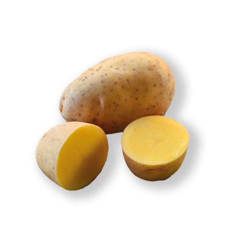 Kartoffeln-Andengold bei R-express Gastronomie Lebensmittel Grosshandel online kaufen