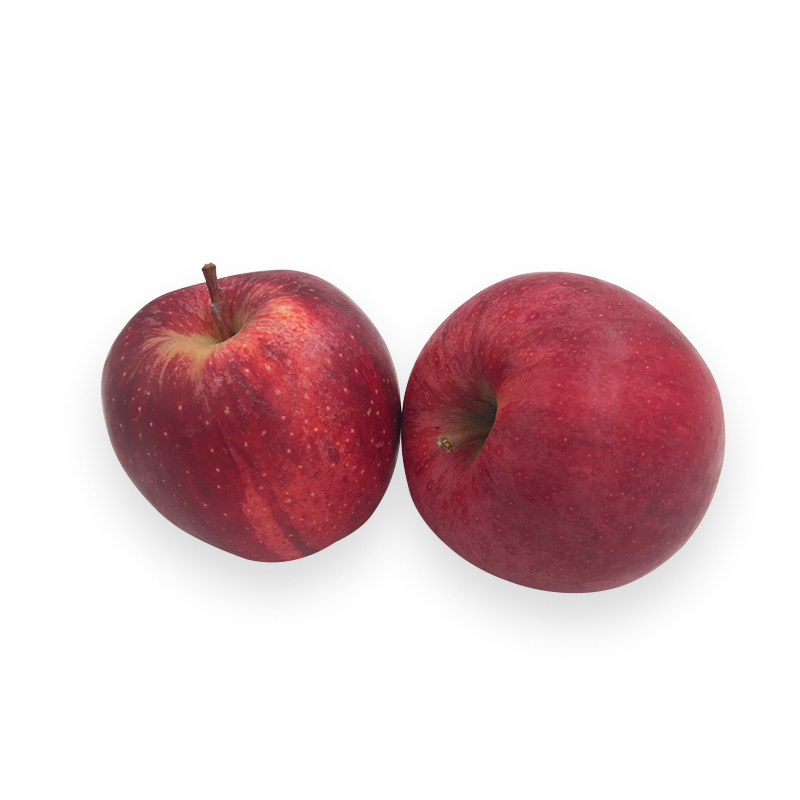 Apfel-Royal-Gala bei R-express Gastronomie Lebensmittel Grosshandel online kaufen