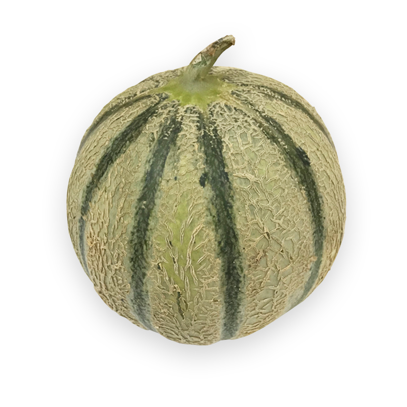 Melone bei R-express Gastronomie Lebensmittel Grosshandel online kaufen