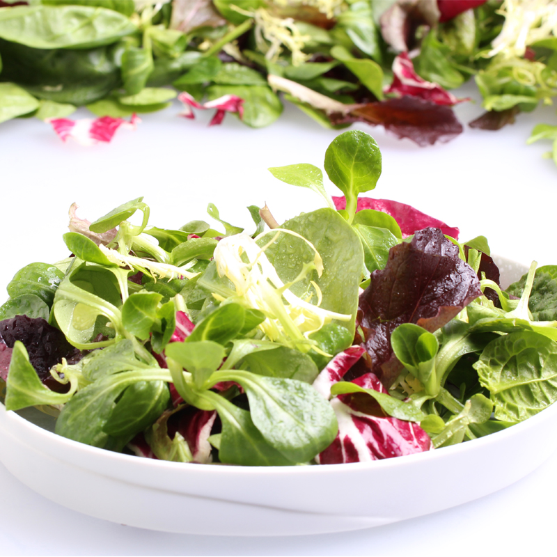 Salatmischung-Rapunzel-2 bei R-express Gastronomie Lebensmittel Grosshandel online kaufen