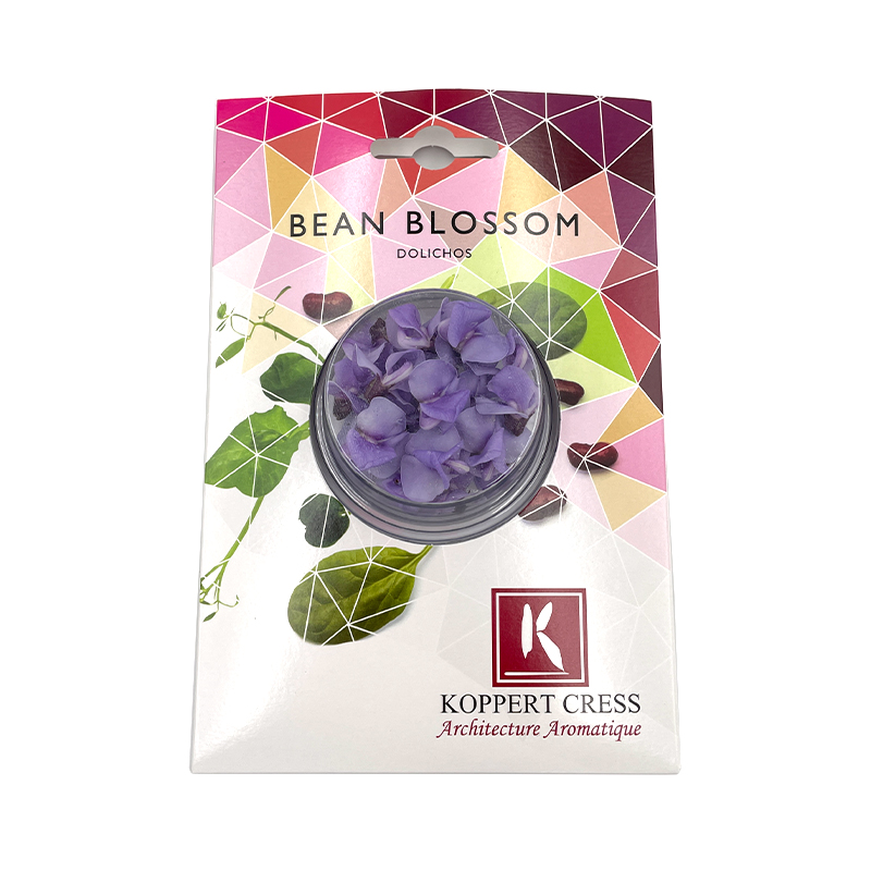 Bean-Blossom-Kresse bei R-express Gastronomie Lebensmittel Grosshandel online kaufen