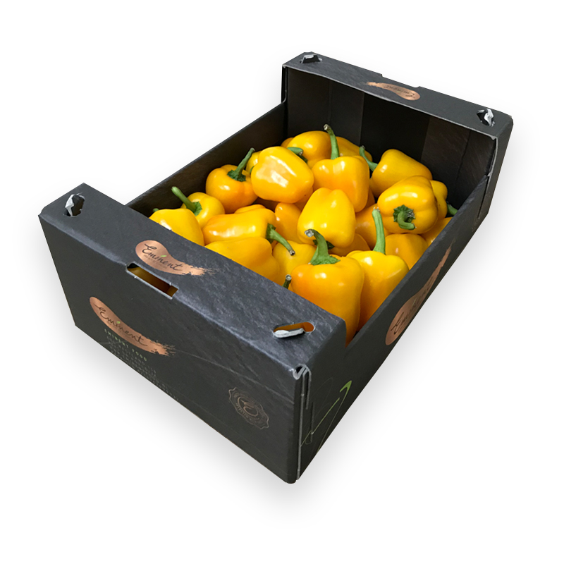 Mini-Paprika-gelb bei R-express Gastronomie Lebensmittel Grosshandel online kaufen