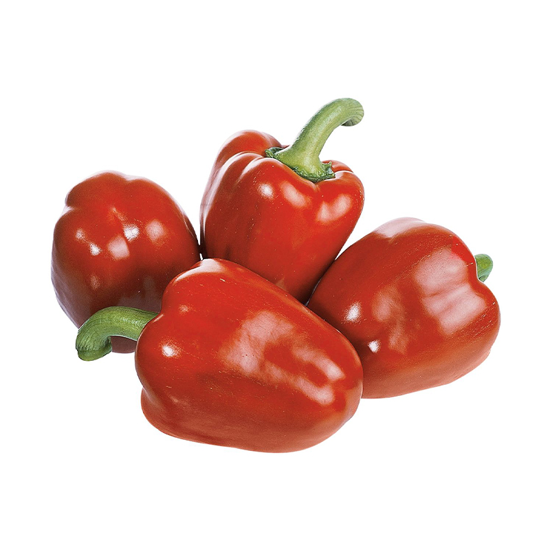 Paprika-rot bei R-express Gastronomie Lebensmittel Grosshandel online kaufen