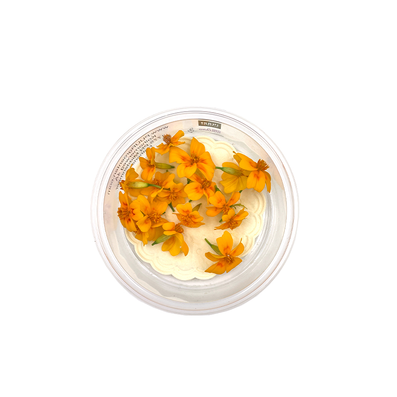 Zitronentagetesbluten-orange bei R-express Gastronomie Lebensmittel Grosshandel online kaufen