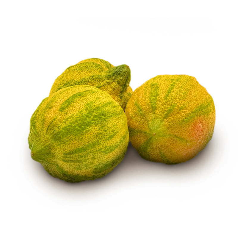 Tiger-Lemons bei R-express Gastronomie Lebensmittel Grosshandel online kaufen