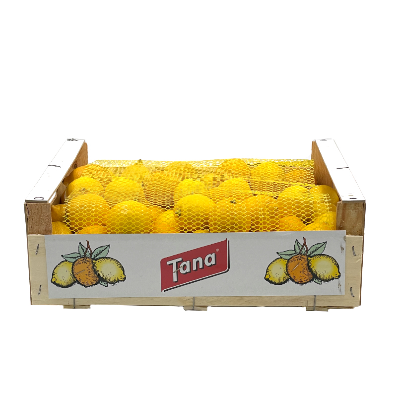 Kleine-Zitronen-2 bei R-express Gastronomie Lebensmittel Grosshandel online kaufen