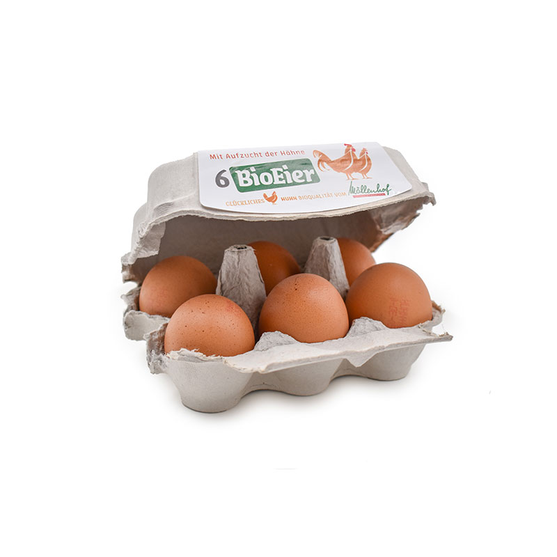 Eier-2 bei R-express Gastronomie Lebensmittel Grosshandel online kaufen