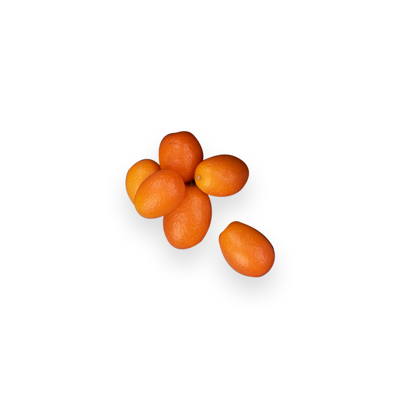 Cumquats bei R-express Gastronomie Lebensmittel Grosshandel online kaufen