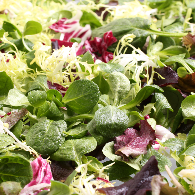 Salatmischung-Rapunzel-3 bei R-express Gastronomie Lebensmittel Grosshandel online kaufen