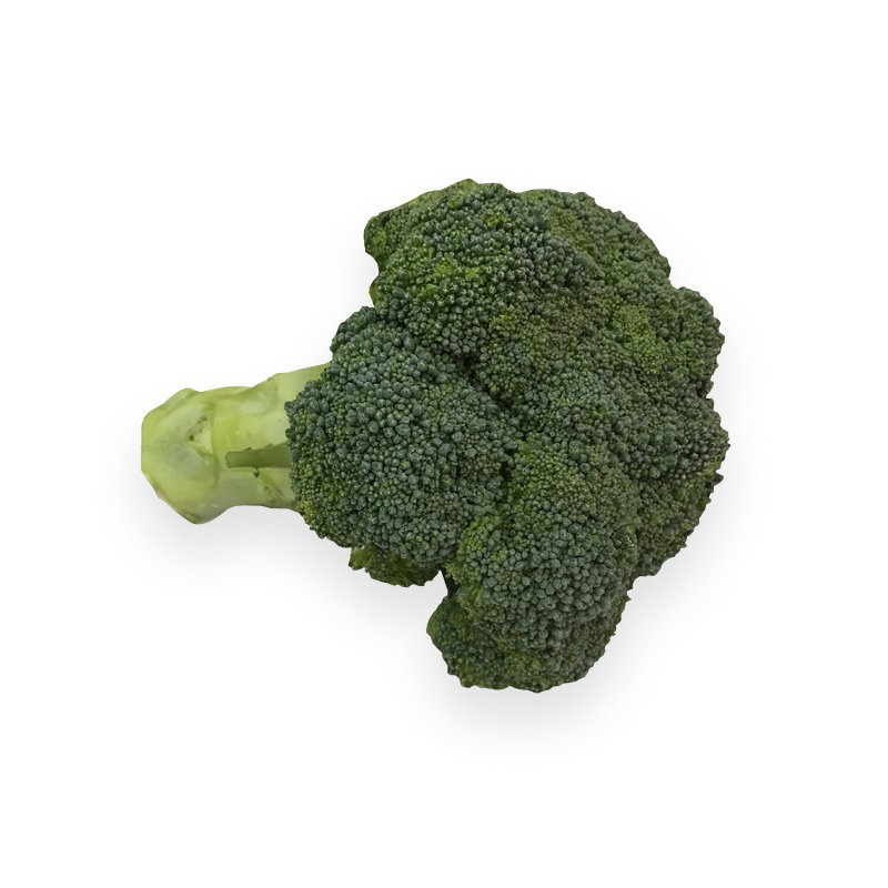 Broccoli bei R-express Gastronomie Lebensmittel Grosshandel online kaufen
