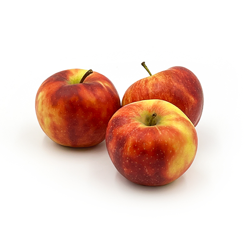 Apfel-Elstar bei R-express Gastronomie Lebensmittel Grosshandel online kaufen