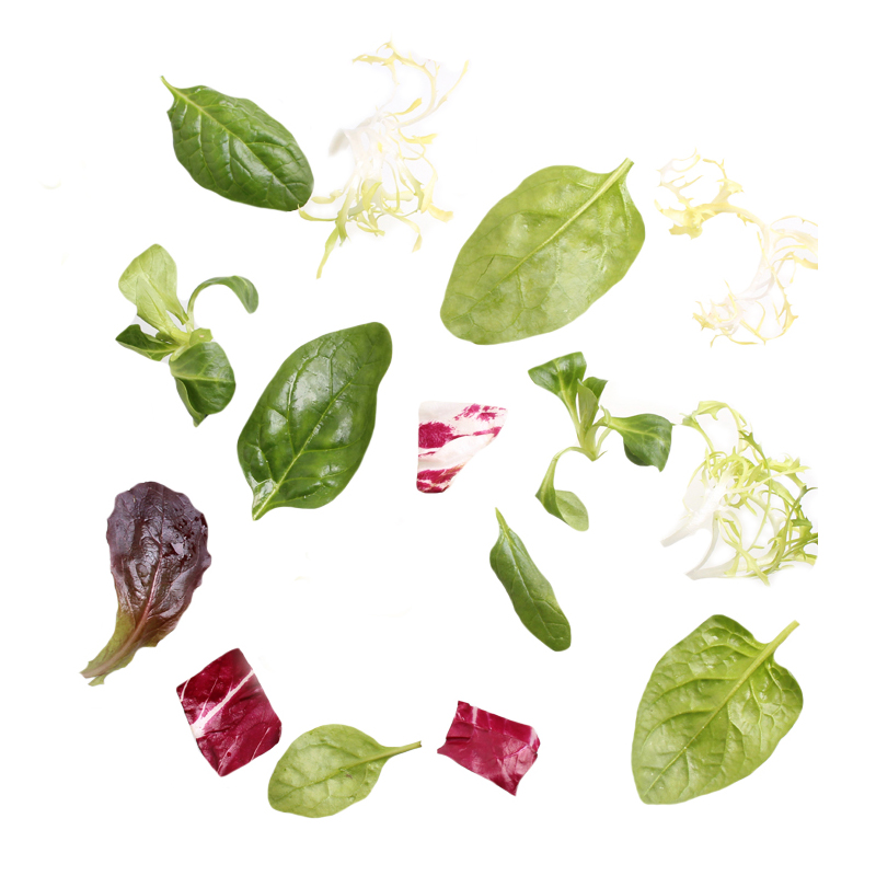 Salatmischung-Rapunzel bei R-express Gastronomie Lebensmittel Grosshandel online kaufen