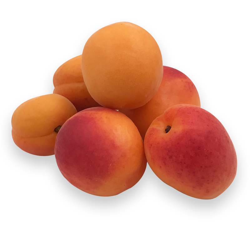Aprikosen bei R-express Gastronomie Lebensmittel Grosshandel online kaufen