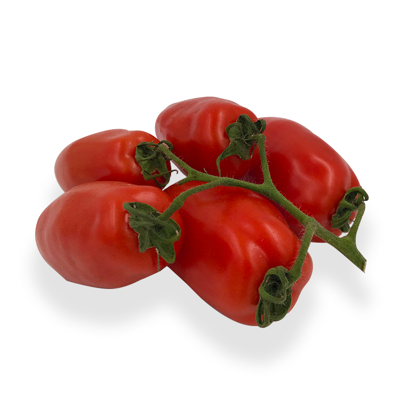 Tomate-San-Marzano bei R-express Gastronomie Lebensmittel Grosshandel online kaufen