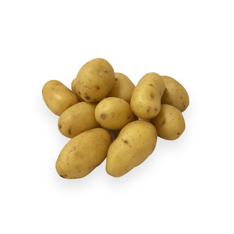 Kartoffel-Mini-GrenaillemjpT1sqxyI1dq bei R-express Gastronomie Lebensmittel Grosshandel online kaufen